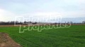Продава ПАРЦЕЛ, област Пазарджик, с. Гелеменово • 390000 € • 75825017 — Holmes.bg