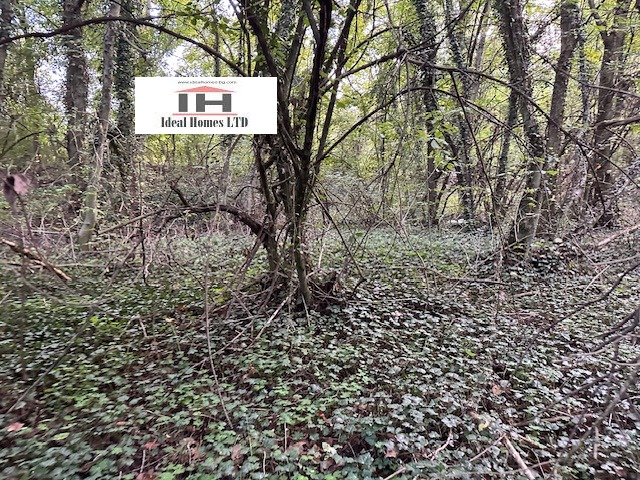 ������� ������ | Imot.bg � ����������� 12