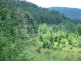 ������� ������ | Imot.bg � ����� ������ 9