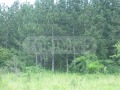 Продава ПАРЦЕЛ, с. Дебелец, област Варна, снимка 3