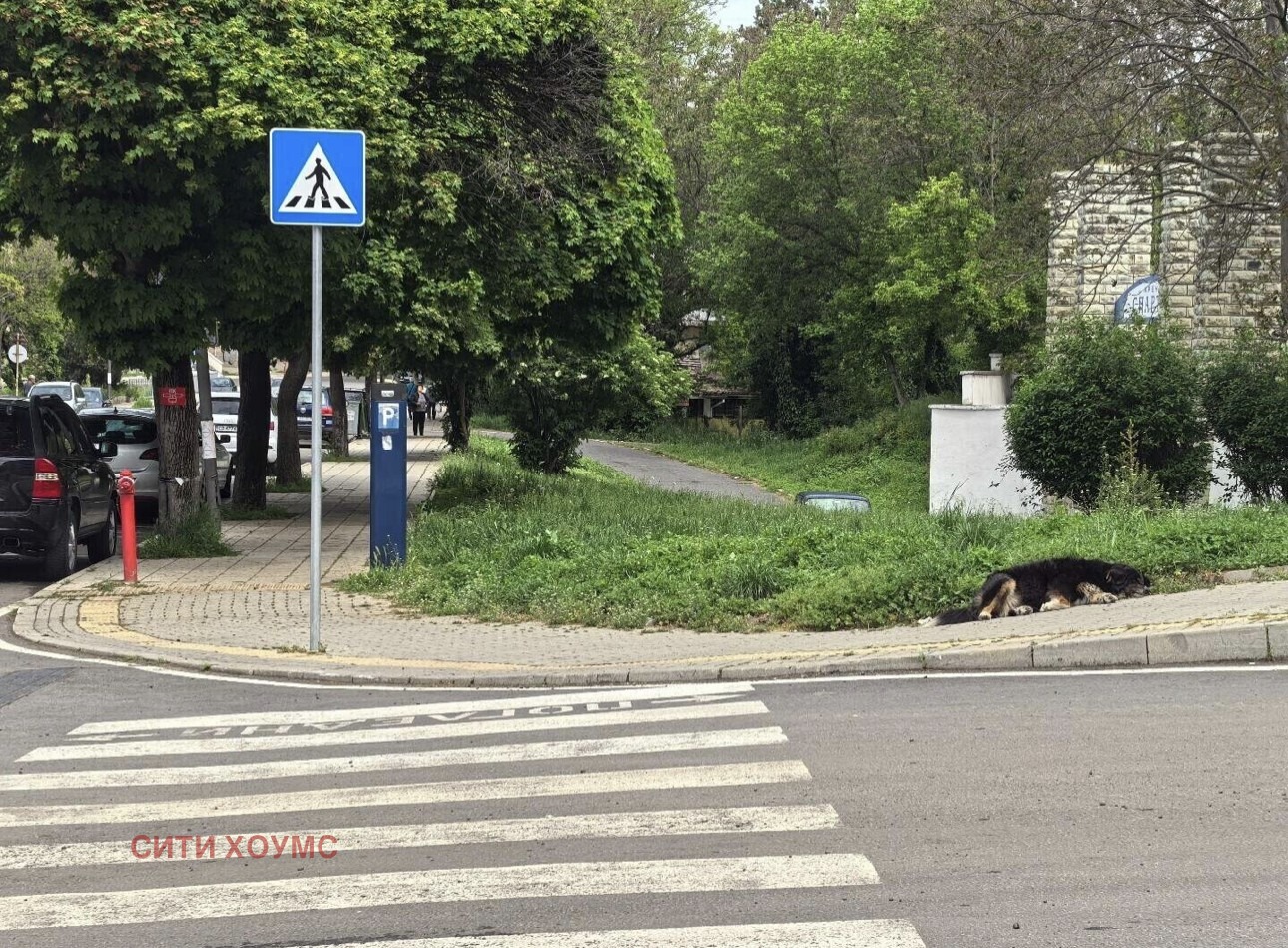 ������� ������ | Imot.bg � ����������� 1
