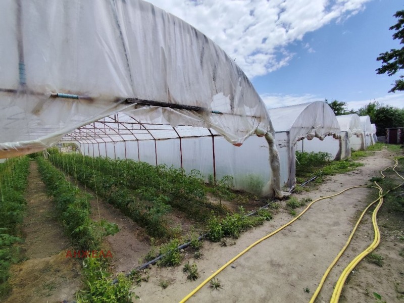 На продаж  Сюжет область Пазарджик , Огняново , 1300 кв.м | 99314714 - зображення [2]