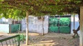 Продава  Къща област Добрич , с. Захари Стояново , 86 кв.м | 78010952 - изображение [10]