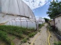 Продава ПАРЦЕЛ, с. Огняново, област Пазарджик, снимка 3