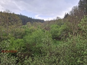 σπίτι Νεδελκοβα Γρατστητσα, περιοχή Κιουστεντίλ 5