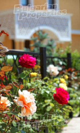 ������� ���� | Imot.bg � ����� ������ 5