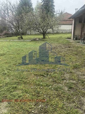 ����� ������� ������,���� �����, ���������