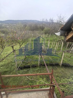 ������� ������ | Imot.bg � ����� ������ 5