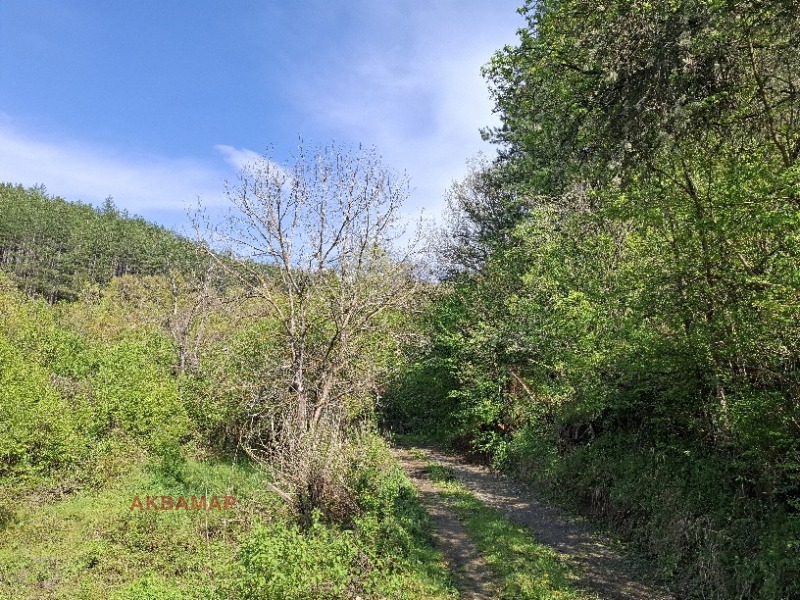Til salg  Hus region Kyustendil , Nedelkova Grashtitsa , 100 kvm | 80409385 - billede [7]