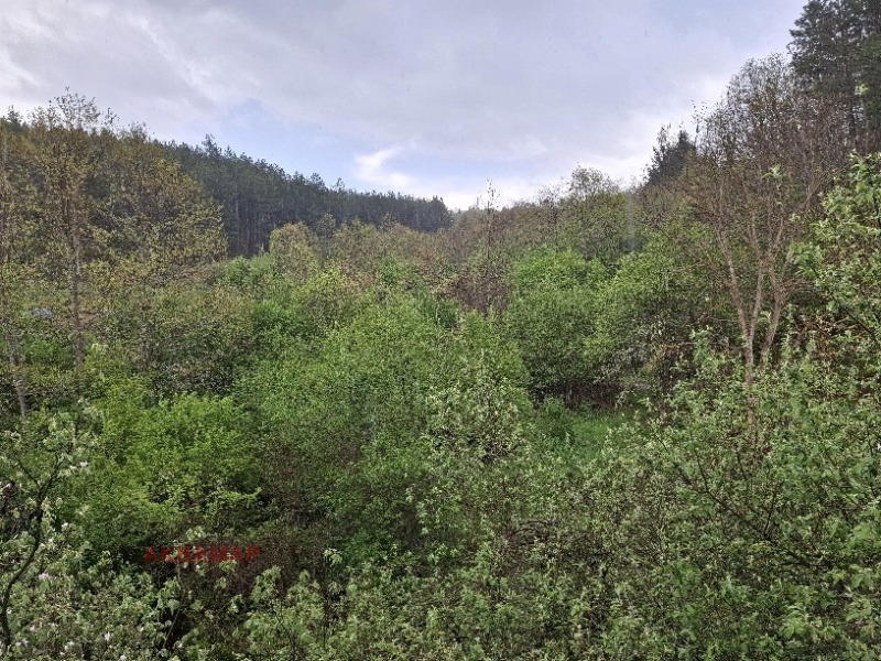 Til salg  Hus region Kyustendil , Nedelkova Grashtitsa , 100 kvm | 80409385 - billede [5]