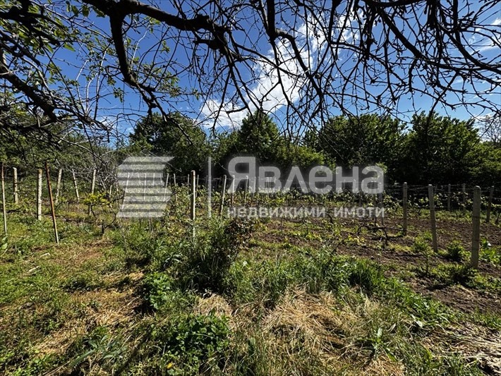 Til salg  Hus region Varna , Osenovo , 70 kvm | 20970536 - billede [8]