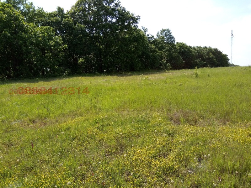 Продава ПАРЦЕЛ в област Бургас, с. Резово - 9162 кв.м / 54 972 € » 107 515.89 лв.