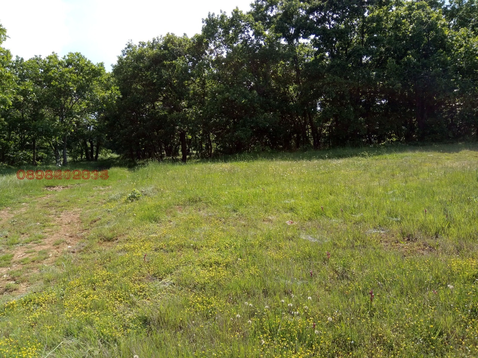 Продава ПАРЦЕЛ | Imot.bg — изображение 7