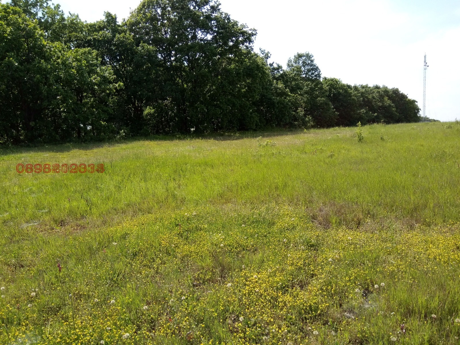 Продава ПАРЦЕЛ | Imot.bg — изображение 1