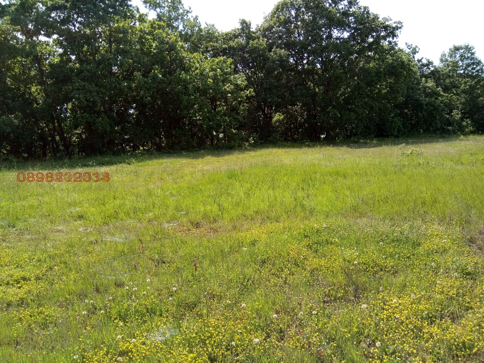 Продава ПАРЦЕЛ | Imot.bg — изображение 3