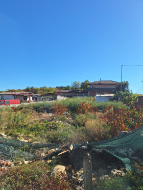 ����� ������� ������,�. �������, ������ ����� ������