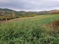 Продава ПАРЦЕЛ, с. Сливек, област Ловеч, снимка 1