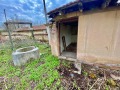 Продава КЪЩА, област Велико Търново, с. Горски Сеновец • 18000 лв. • 27604821 — Holmes.bg
