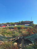 Продава ПАРЦЕЛ, с. Яворово, област Стара Загора, снимка 1