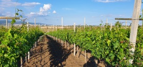 ������� ���� | Imot.bg � ����� ������ 6