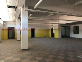 ����� ������� �������,���� ���������, ������