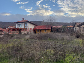 ����� ������� ������,�. ���������, ������ ���������