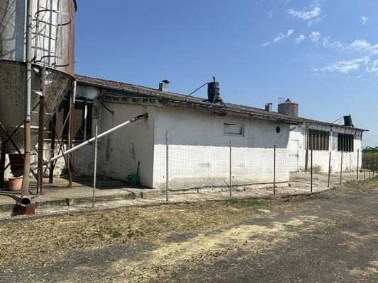 Продава  Пром. помещение област Стара Загора , с. Гита , 1262 кв.м | 63614451 - изображение [5]