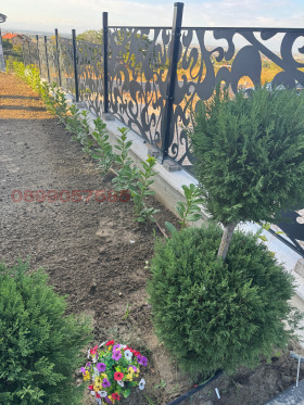 ������� ���� | Imot.bg � ����� ������ 10