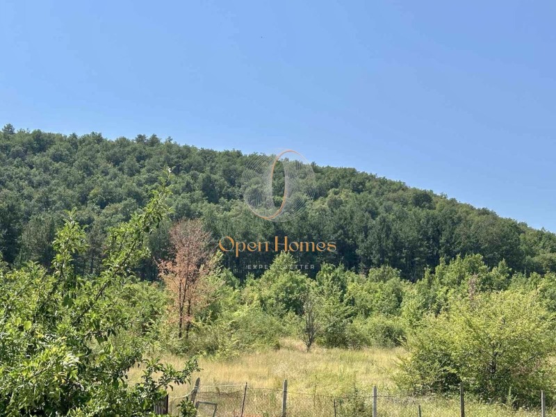 Til salgs  Hus region Plovdiv , Perushtitsa , 174 kvm | 63710071 - bilde [4]
