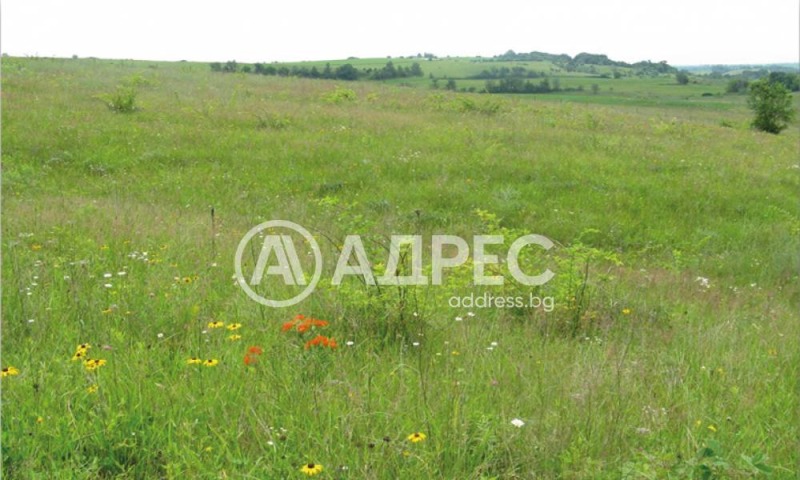 Продава ПАРЦЕЛ, с. Кривина, област София-град, снимка 1 - Парцели - 47218085