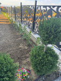 Продава  Къща област Пловдив , с. Марково , 230 кв.м | 32569771 - изображение [10]