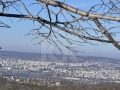 Продава ПАРЦЕЛ, град Варна, м-т Боровец - север • 140000 € / 273816.20 лв. • 32374675 1