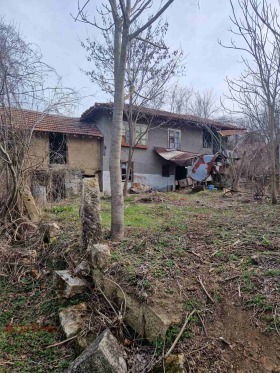 Maison Nisovo, région Roussé 1