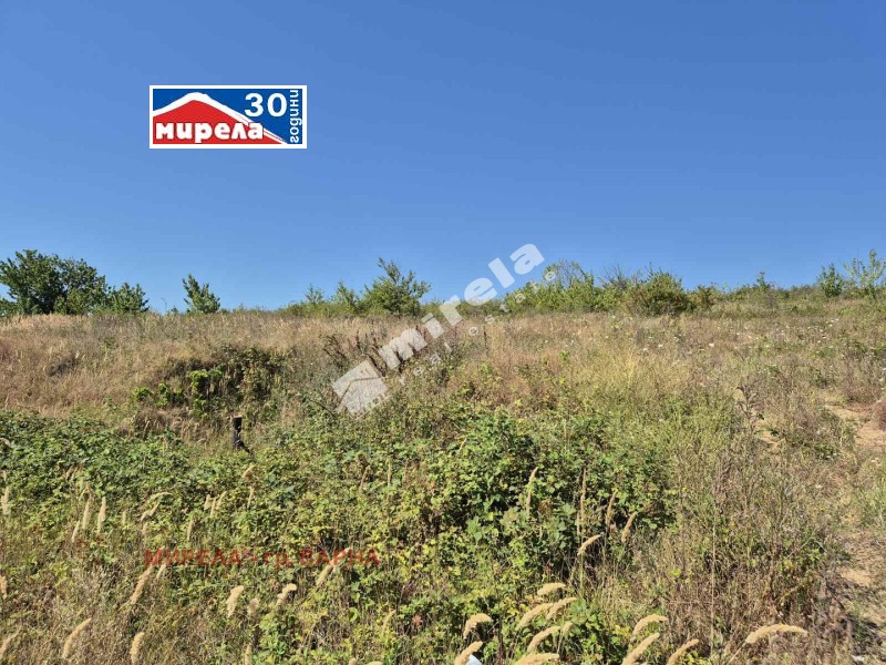 Продава  Парцел област Варна , гр. Бяла , 2831 кв.м | 84649264 - изображение [2]