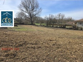 ������ ������� ������