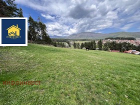 ������ ������� ������