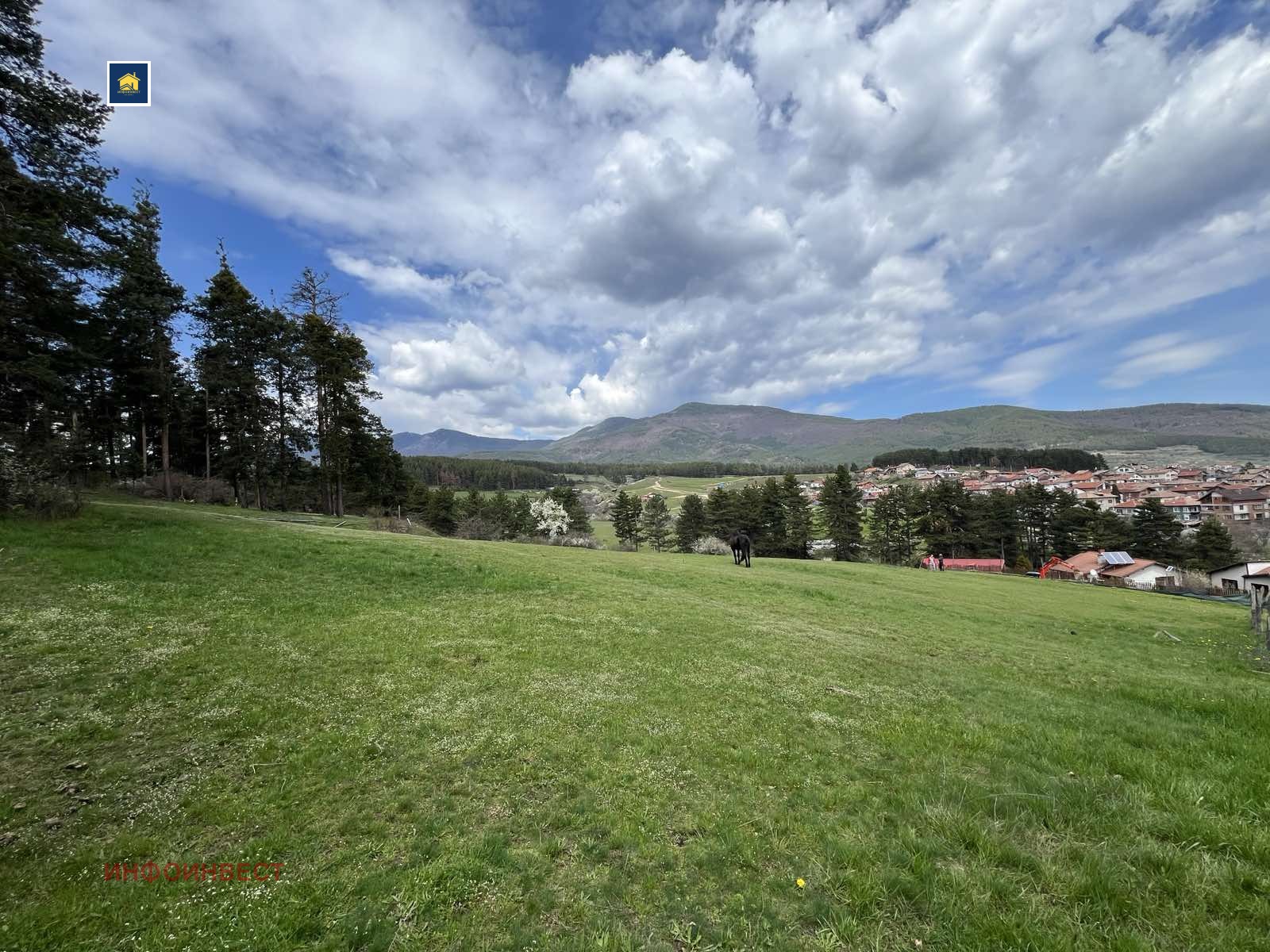 Продава ПАРЦЕЛ, гр. Велинград, област Пазарджик, снимка 4 - Парцели - 54288841