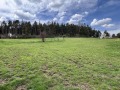 Продава ПАРЦЕЛ, гр. Велинград, област Пазарджик, снимка 5