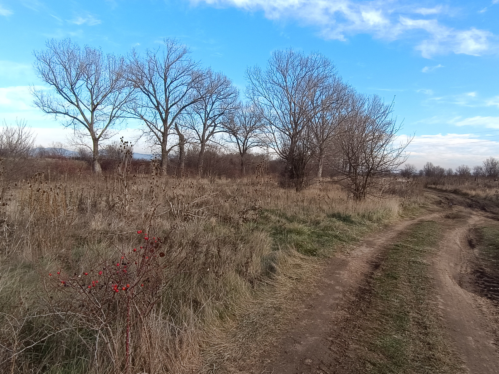 ������� ���������� ���� | Imot.bg � ����������� 4