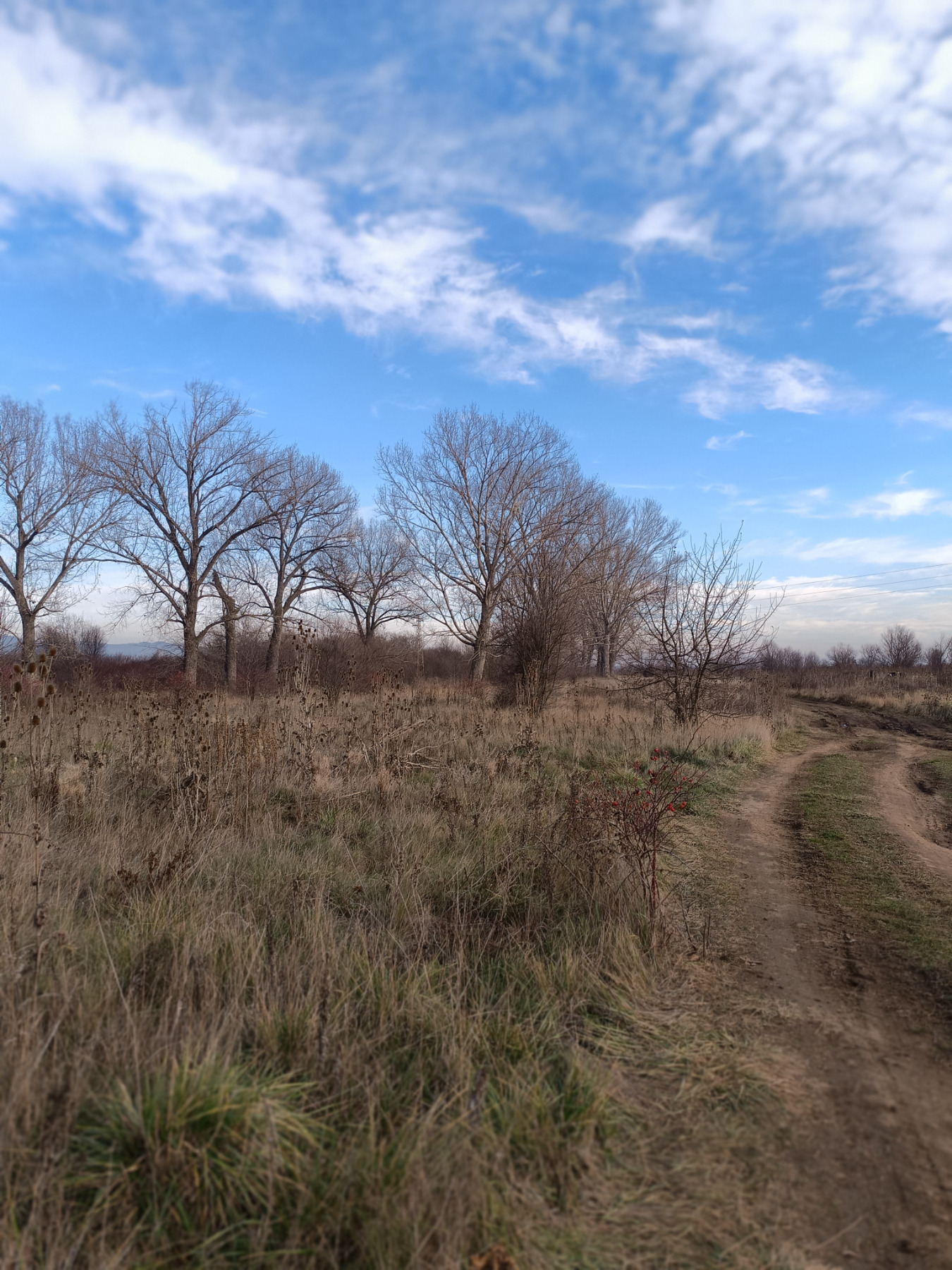 ������� ���������� ���� | Imot.bg � ����������� 1