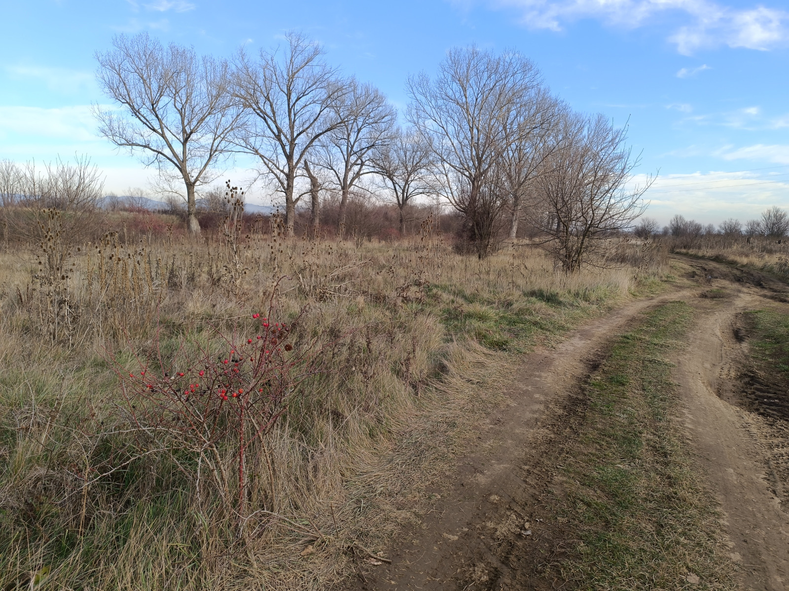 ������� ���������� ���� | Imot.bg � ����������� 13