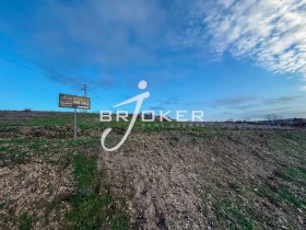 ����� ������� ������,�. �����, ������ ��������