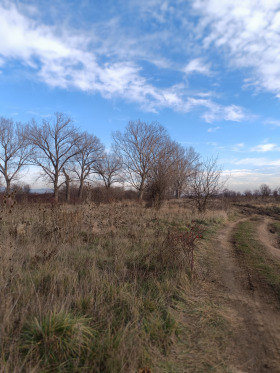 ������ ������� ���������� ����