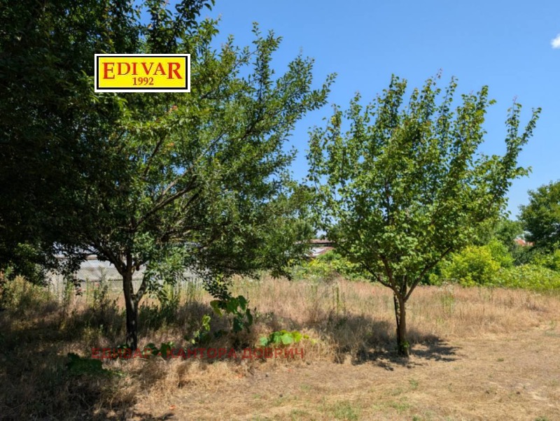 Продава МНОГОСТАЕН, с. Крушари, област Добрич, снимка 6 - Апартаменти - 52509816