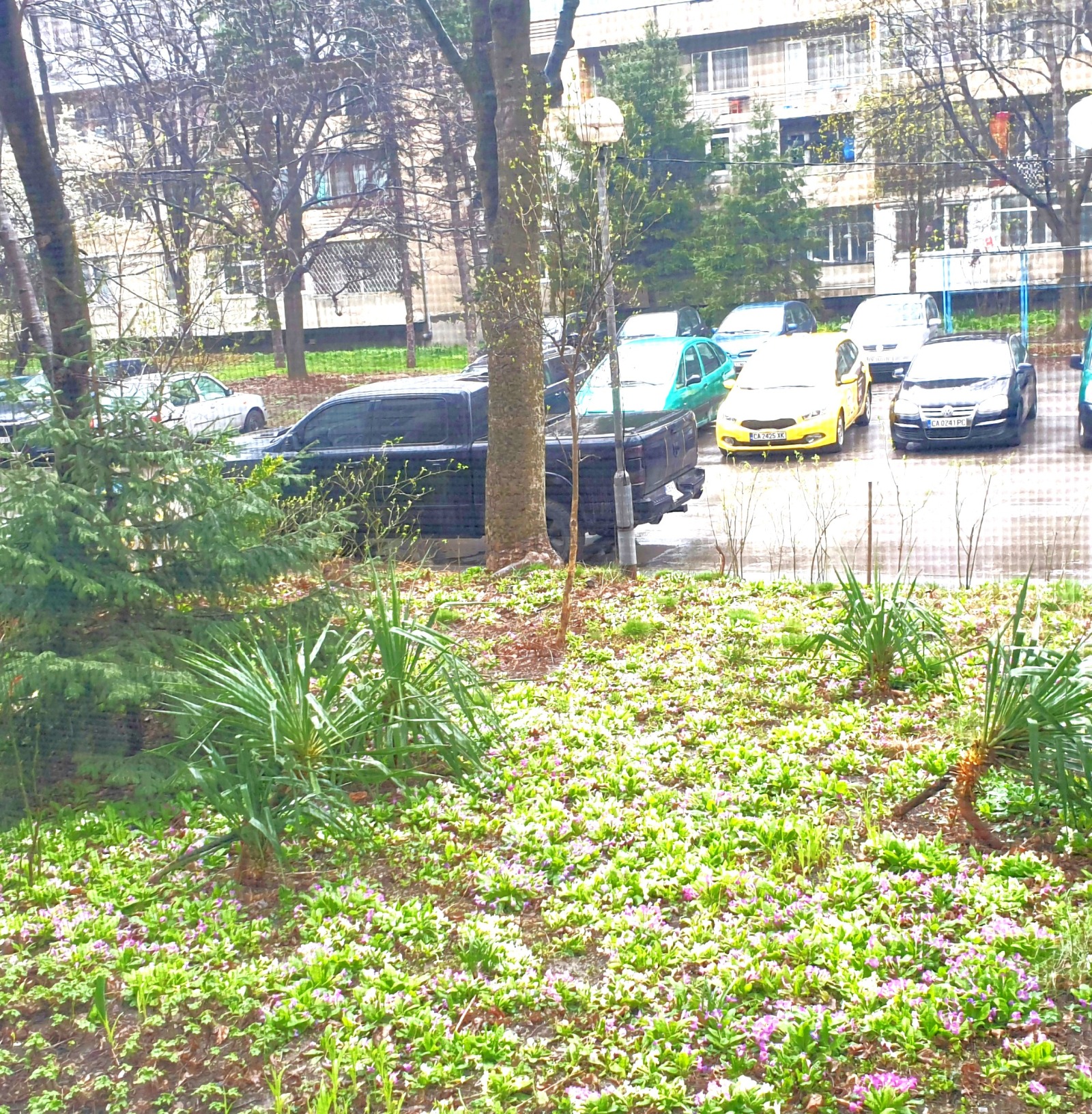 ������� 2-����� | Imot.bg � ����������� 8