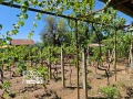 Продава КЪЩА, гр. Стара Загора, м-т Голеш, снимка 9