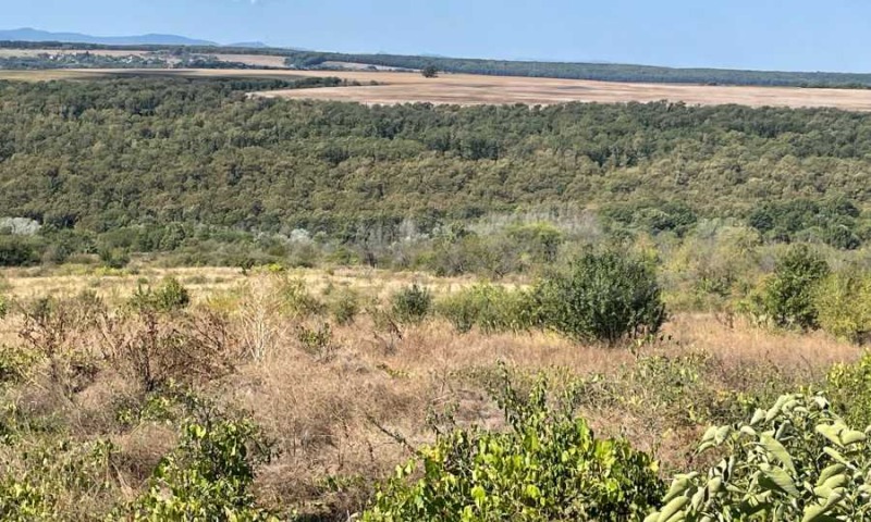 Продава ПАРЦЕЛ в област Варна, с. Близнаци - 48300 кв.м / 150 000 € » 293 374.50 лв., СУПРИММО ОФИСИ В СТРАНАТА