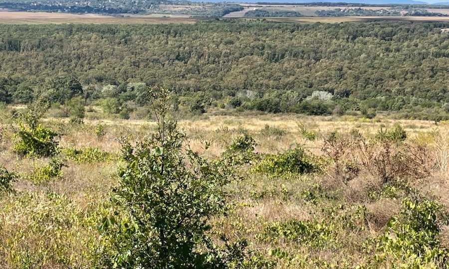 Продава ПАРЦЕЛ | Imot.bg — изображение 2