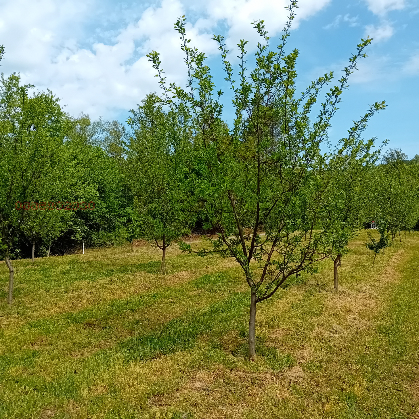 ������� ���������� ���� | Imot.bg � ����������� 4