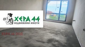   1-,  , 